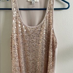 Sparkly Dress